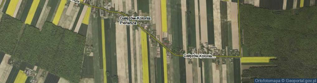 Zdjęcie satelitarne Gałęzów-Kolonia Pierwsza ul.